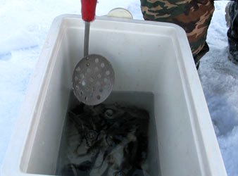 Зимняя рыбалка - на зимние жерлицы