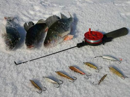 Окунь зимняя рыбалка блесна