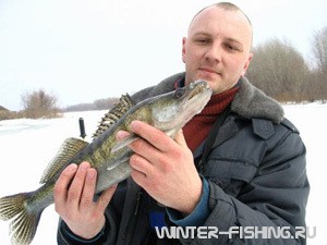 Зимняя рыбалка ловля судака